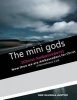 The Mini Gods - Christ Ambassadors (Paperback) - Olusola Justice Oke Photo