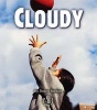 Cloudy (Paperback) - Robin Nelson Photo