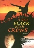 A Sky Black with Crows (Paperback) - Alice Walsh Photo