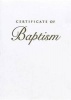 Abingdon Select Children's Baptism Gold (Other printed item) - Abingdon Press Photo