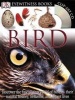 Bird (Hardcover) - David Burnie Photo