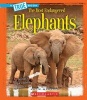 Elephants (Paperback) - Katie Marsico Photo