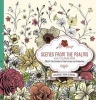 Scenes from the Psalms - Adult Coloring Book - Color the Comfort of God's Care and Protection (Paperback) - Faith Passio Photo