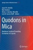 Quodons in Mica - Nonlinear Localized Travelling Excitations in Crystals (Paperback) - Juan F R Archilla Photo