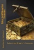 Peter Goldthwaite's Treasure (Paperback) - Hawthorne Nathaniel Photo