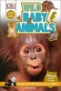 Wild Baby Animals (Hardcover) - Deborah Lock Photo