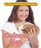 Guinea Pigs (Hardcover) - Anne McBride Photo