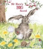 Mr Hare's Big Secret (Paperback) - Hannah Dale Photo