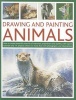 Drawing and Painting Animals - How to Create Beautiful Artworks of Mammals, Amphibians and Reptiles, with Expert Tutorials and 14 Projects Shown in More Than 470 Photographs and Illustrations (Paperback) - Jonathan Truss Photo