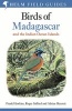 Birds of Madagascar and the Indian Ocean Islands (Paperback) - Roger Safford Photo