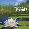 What's in a Pond? (Paperback) - Martha E H Rustad Photo