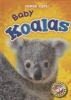 Baby Koalas (Hardcover) - Megan Borgert Spaniol Photo