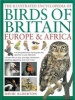 The Illustrated Encyclopedia of Birds of Britain Europe & Africa - A Comprehensive Visual Guide and Identifier to Over 550 Birds (Hardcover) - David Alderton Photo