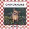 Chihuahuas (Hardcover, Library binding) - Bob Temple Photo