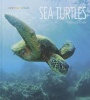 Sea Turtles (Hardcover) - Melissa Gish Photo