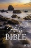 The NKJV, Holy Bible, Larger Print, Paperback (Paperback, large type edition) - Thomas Nelson Photo