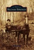 Siloam Springs (Paperback) - Don Warden Photo