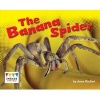 The Banana Spider (Paperback) - Anne Giulieri Photo