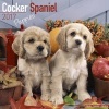 Cocker Spaniel Puppies Calendar 2017 (Paperback) - Avonside Publishing Ltd Photo