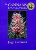 The Cannabis Encyclopedia - The Definitive Guide to Cultivation & Consumption of Medical Marijuana (Hardcover) - Jorge Cervantes Photo