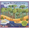 How Animals Live - A Guide to the Animal World (Hardcover) - Christiane Dorion Photo