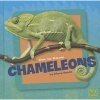 Get to Know Chameleons (Hardcover) - Flora Brett Photo