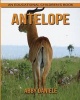 Antelope! an Educational Children's Book about Antelope with Fun Facts & Photos (Paperback) - Abby Daniele Photo