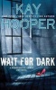 Wait for Dark (Standard format, CD) - Kay Hooper Photo