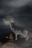 A Solitary Wolf Howling at the Full Moon Journal - 150 Page Lined Notebook/Diary (Paperback) - Cs Creations Photo