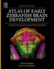 Atlas of Early Zebrafish Brain Development - A Tool for Molecular Neurogenetics (Hardcover, 2nd Revised edition) - Thomas Mueller Photo