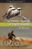 The Hidden Agenda of Sigrid Sugden (Paperback) - Jill Maclean Photo