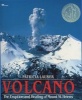 Volcano - The Eruption and Healing of Mount St. Helens (Paperback, 1st Aladdin Books ed) - Patricia Lauber Photo