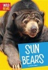 Sun Bears (Hardcover) - Tammy Gagne Photo