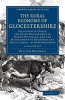 The Rural Economy of Glocestershire 2 Volume Set - Including its Dairy, Together with the Dairy Management of North Wiltshire, and the Management of Orchards and Fruit Liquor, in Herefordshire (Paperback) - William Marshall Photo