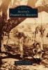 Austin's Pemberton Heights (Paperback) - Elizabeth A Cash Photo