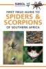 First Field Guide to Spiders & Scorpions of Southern Africa (Paperback) - Tracey Hawthorne Photo