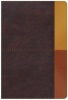 NIV Rainbow Study Bible, Cocoa/Terra Cotta/Ochre Leathertouch (Leather / fine binding) - Holman Bible Staff Photo