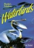 Florida's Fabulous Waterbirds: Their Stories (Paperback, 3rd ed) - Winston Williams Photo