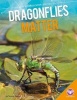 Dragonflies Matter (Hardcover) - Tammy Gagne Photo