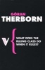 What Does the Ruling Class Do When it Rules? - State Apparatuses and State Power Under Feudalism, Capitalism, and Socialism (Paperback) - Goran Therborn Photo