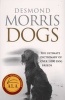 Dogs - The Ultimate Dictionary of Over 1,000 Dog Breeds (Paperback) - Desmond Morris Photo