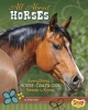 All about Horses - Everything a Horse-Crazy Girl Needs to Know (Hardcover) - Molly Kolpin Photo