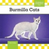 Burmilla Cats (Hardcover) - Kate Conley Photo