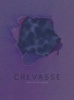 Crevasse (Paperback) - Nicholas Wong Photo