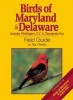 Birds of Maryland & Delaware Field Guide (Paperback) - Stan Tekiela Photo