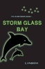 Storm Glass Bay (Paperback) - JJ Parsons Photo