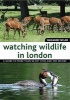 Watching Wildlife in London (Paperback) - Marianne Taylor Photo