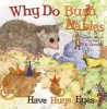 Why Do Bush Babies Have Huge Eyes? (Hardcover) - Jennifer Shand Photo