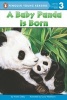 A Baby Panda Is Born (Paperback) - Kristin Ostby Photo