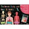 The Human Body and How it Works - A Fun Way to Learn About the Human Body - Amandine Wanert Photo